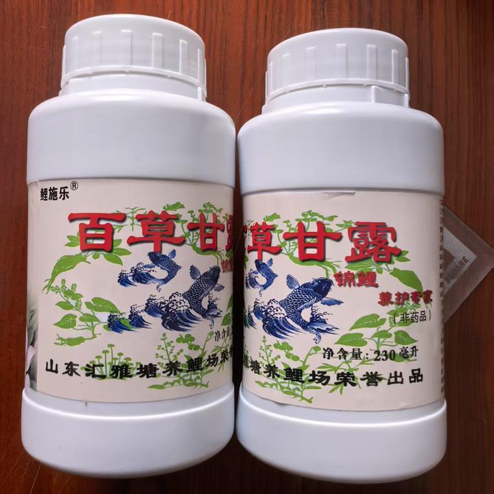 百草甘露锦鲤金鱼养护细菌交叉感染充血趴底烂鳍烂尾烂肉炸麟烂腮