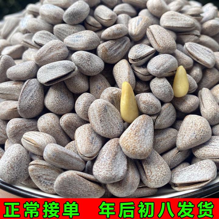 2025新款椒盐松子海盐松子奶油盐焗盐煮袋装大颗粒东北干果坚果