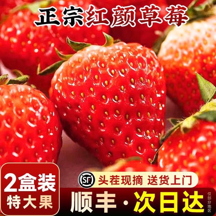 【顺丰送上门】正宗奶油红颜草莓特大新鲜水果九九99丹东东港整箱