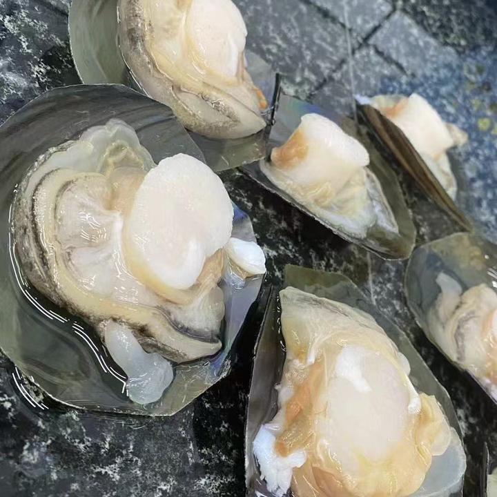 鲜活带子江瑶贝新鲜肥美的海鲜贝类，【顺丰包邮】