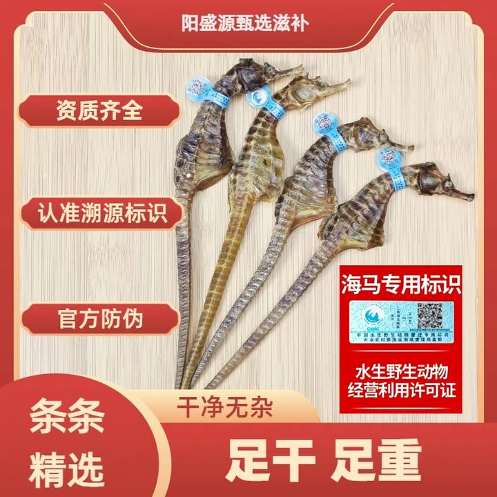 海马 正品溯源蓝标 泡酒煲汤 海马泡酒专用 海马公母一对正品