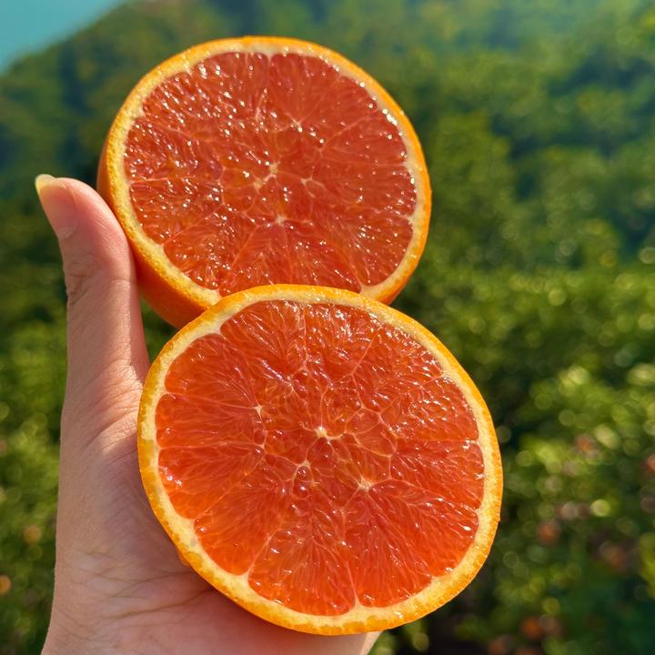 湖北宜昌秭归中华红血橙 净重3斤/5斤/9斤/12枚礼盒B