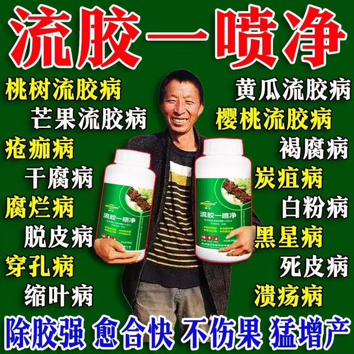 流胶穿孔一喷净桃树流胶专用微生物肥料油桃果树腐烂病流胶穿孔净