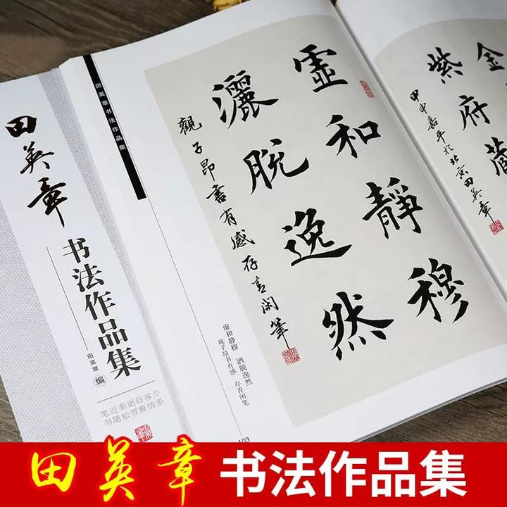 田英章书法作品集毛笔书法创作宝典192页 横幅对联扇面精品收藏版