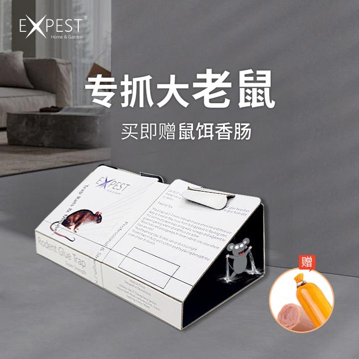 EXPEST抓老鼠粘板强力粘鼠板胶粘大老鼠捕捉灭老鼠克星家用神器