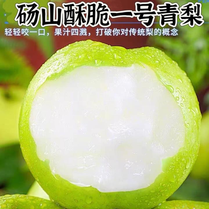 安徽砀山青梨4.5−5斤酥脆多汁新鲜应季水果包邮