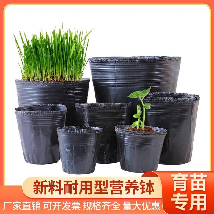 营养杯育苗盆育苗袋育苗杯育苗盒营养钵育种加厚培育一次性花盆