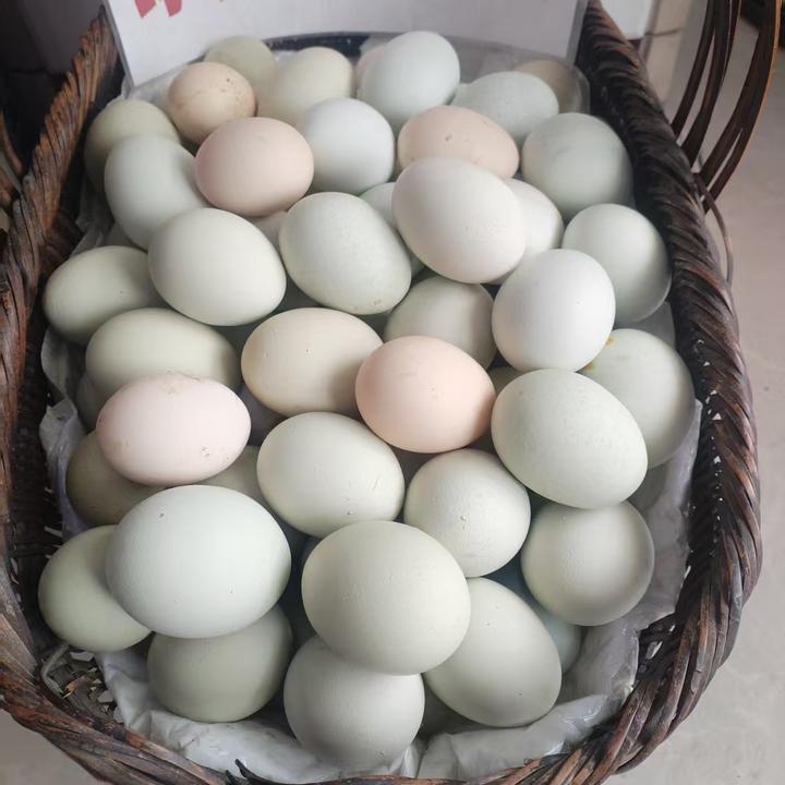 溆浦土特产初级农产品绿壳土鸡蛋黄壳土鸡蛋