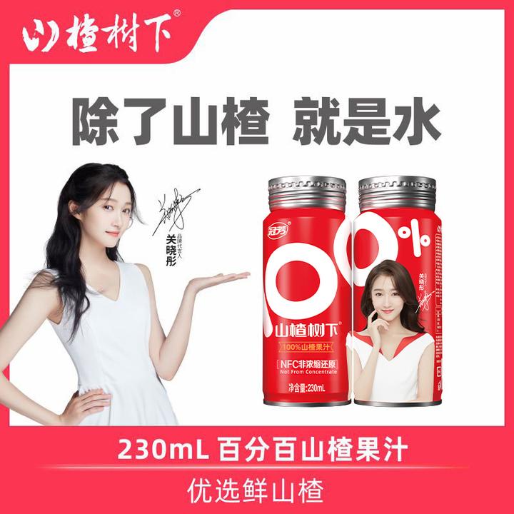 【专享】山楂树下100%山楂果汁230ML*6/15瓶营养浓郁果味饮料罐装
