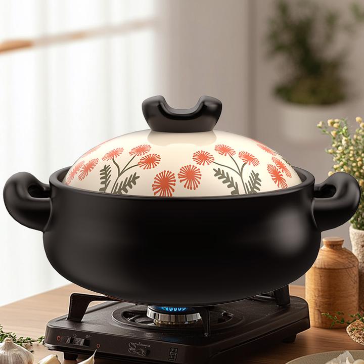 【黑蒲公英】康舒大容量炒炖锅煮粥家用陶瓷锅明火耐高温砂锅