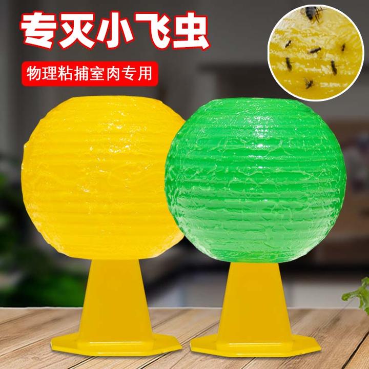 捕器果蝇诱蝇苍蝇飞虫克星强力效粘虫球室内去除小黑飞灭杀神器