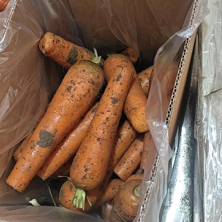 断裂畸形水果萝卜饭店食堂都可以用不影响使用