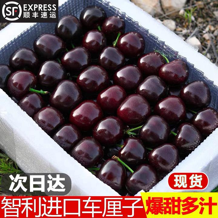 特大果进口智利海运拉宾斯车厘子顺丰包邮5斤 J-5J内附果径卡