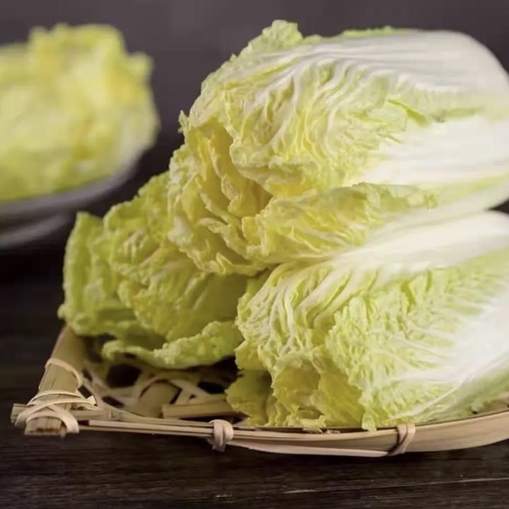 甘肃高原精品现摘黄心娃娃菜新鲜健康清甜无筋无丝5-9