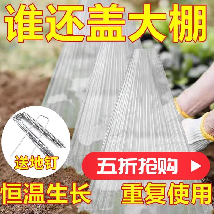 防护罩育苗植物保暖抗冻钟罩蔬菜幼苗种植园艺防虫防鸟金钟罩