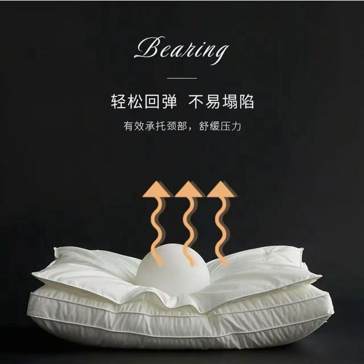 【升级款送礼带】二合一蚕丝蛋白滑肤枕五星级酒店枕头成人护颈枕