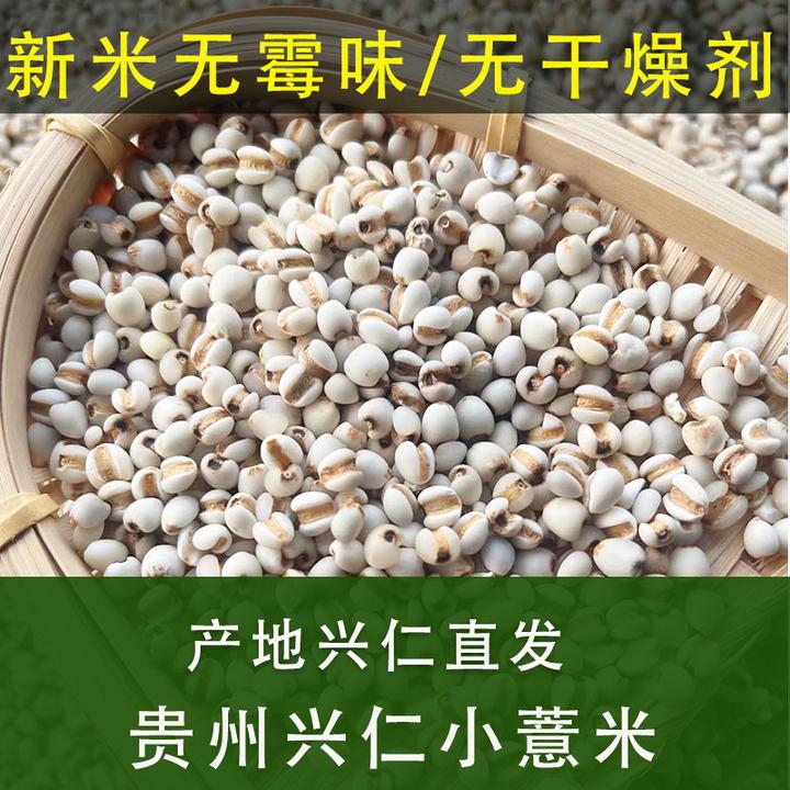 贵州兴仁小薏米特产地直销中药材苡仁新货无霉味无硫熏清香无异味