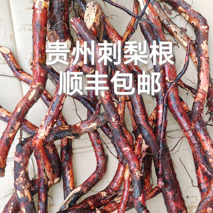 刺梨根鲜条（顺丰包邮）贵州刺梨根泡酒泡茶炖汤 茨藜根山刺梨根