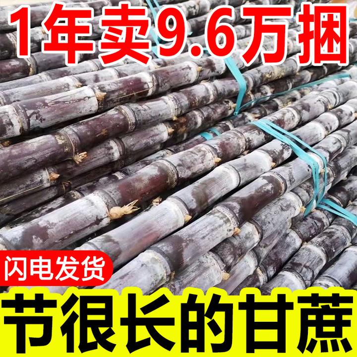 【店铺冲量】广西正宗黑皮水果甘蔗5斤9斤新鲜现砍应季水果脆甜多汁