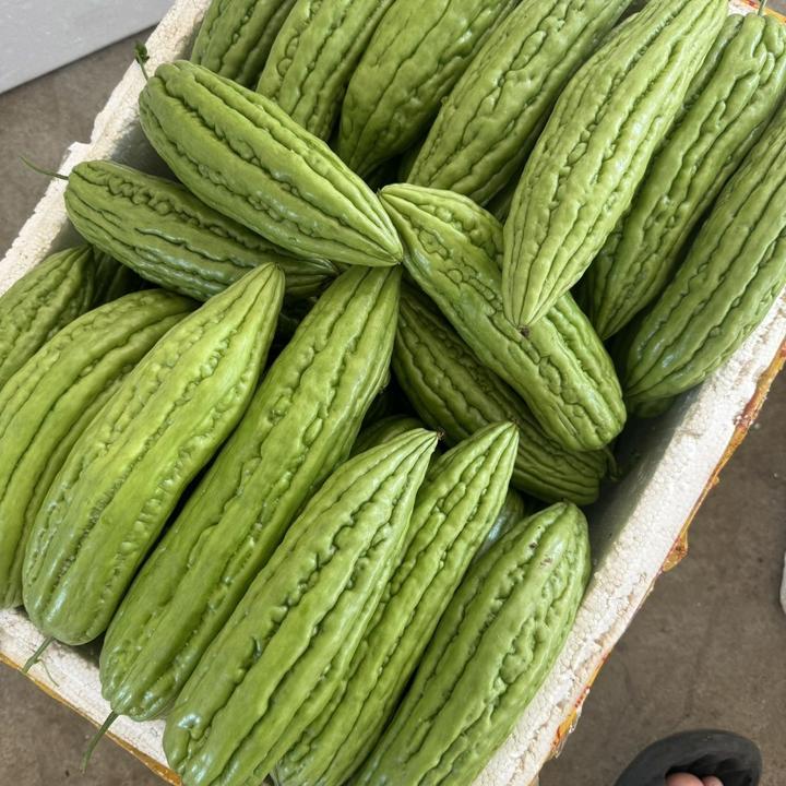 潮汕本地油苦瓜鲜嫩微苦脆嫩多汁农家种植当季苦瓜新鲜现摘现发