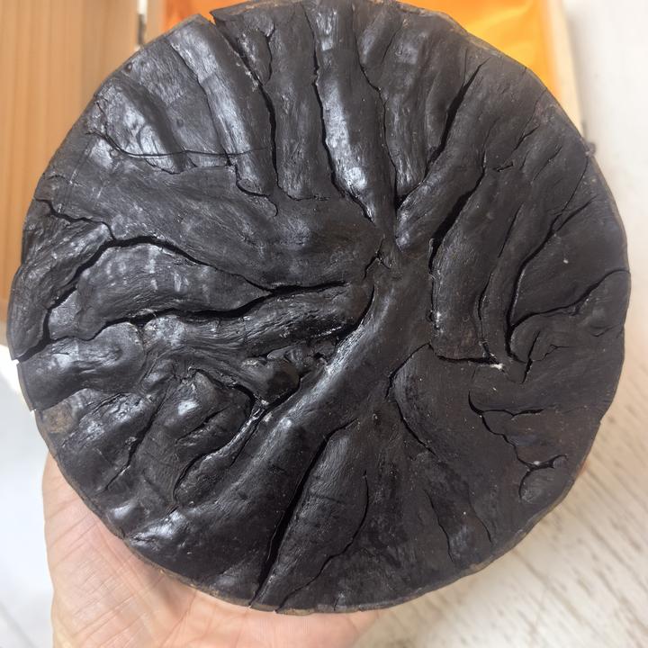 【参海1】黑参饼天参收藏款