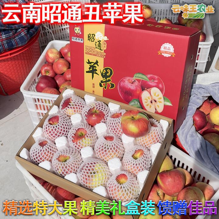 礼盒装云南昭通红富士丑苹果冰糖心苹果脆甜多汁当季新鲜采摘现发