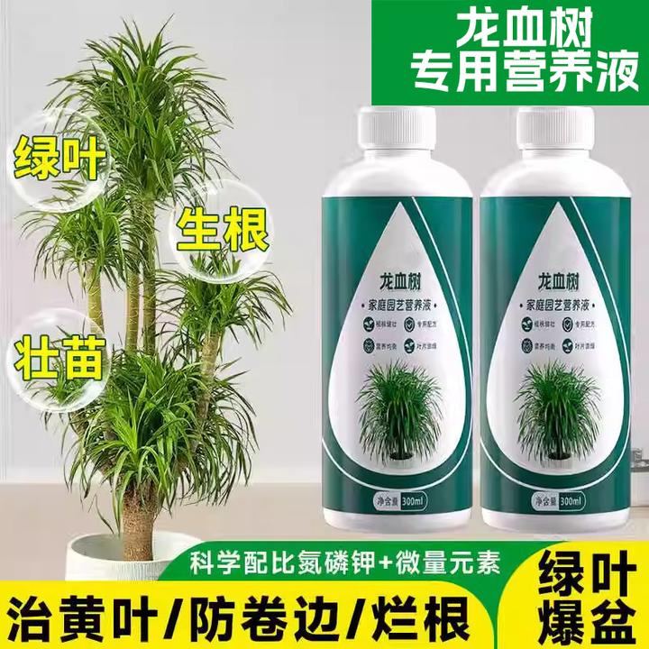 龙血树龙须树专用肥料营养液盆栽植物室内绿植养花肥通用氮磷钾肥