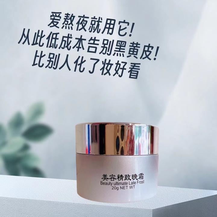 温士美美容精致晚霜养肤提亮