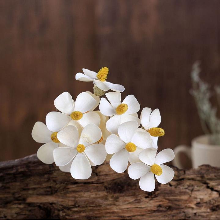 紫罗兰手工干花花束简约小清新家居装饰