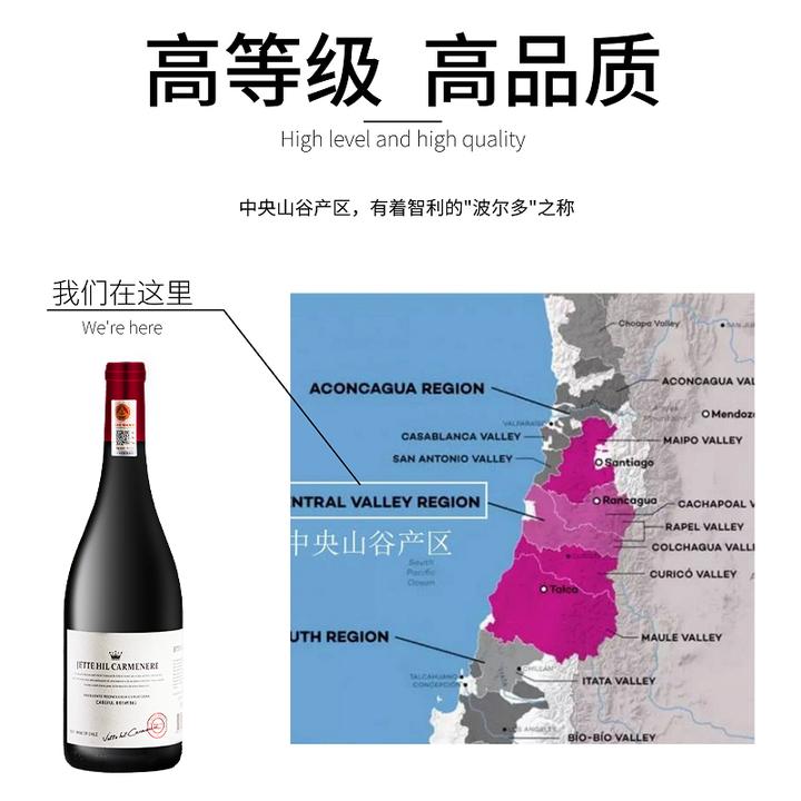 智利高档红酒整箱6瓶干红葡萄酒15度礼盒装正品750ml赤霞珠礼盒
