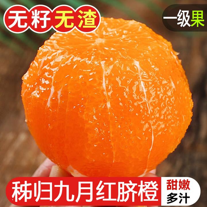 【坏果包赔】湖北秭归九月红脐橙