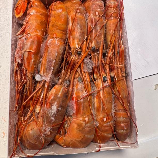 加拿大牡丹虾红虾新鲜红牡丹虾15-19只一盒2斤上海招聘正直爱洁蟹