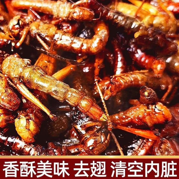油炸蚂蚱香辣味原味蝗虫即食食用昆虫小吃烧烤美食蚱蜢下酒菜零食