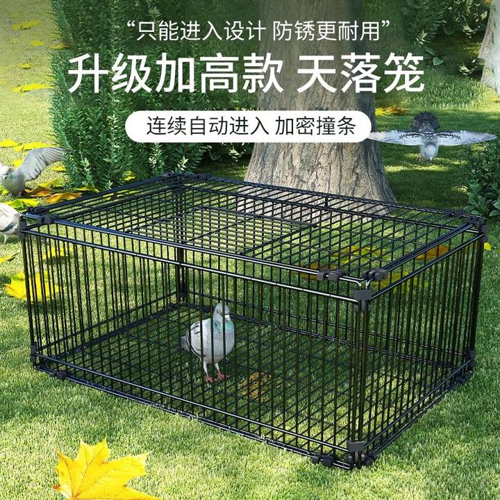 天落笼加密只进不出鸽子笼撞门笼活络门自动回收鸽子神器室外鸽笼