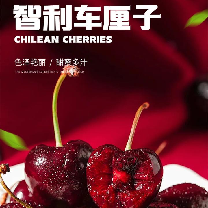 【现货车厘子】丹丹严选智利进口空运桑提娜车厘子2JD/5斤原箱