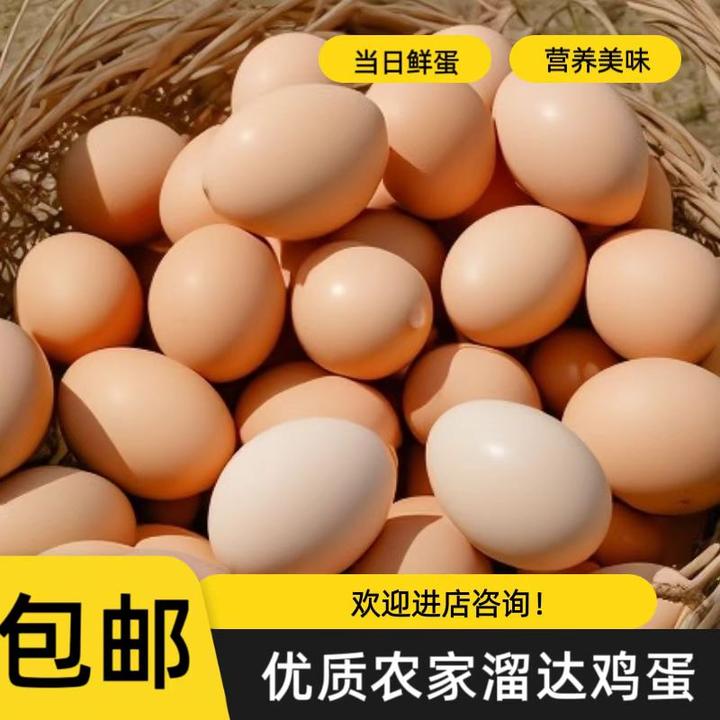 自家养殖溜达鸡鸡蛋土鸡蛋笨鸡蛋