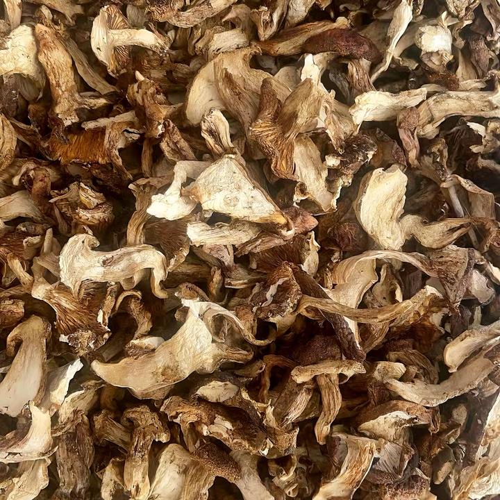 西藏特产青冈菌100g高海拔雪菌菇炖汤炒菜香味浓郁