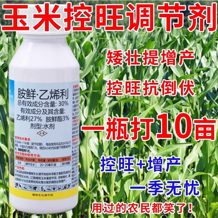胺鲜酯乙烯利农药增产抗倒伏矮壮素玉米地专用控旺药剂生长调节剂