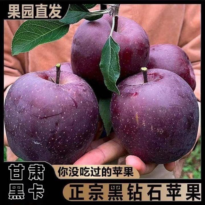 甘肃黑卡苹果鲜果黑钻黑色纯甜新鲜水果3/9斤宝宝辅食香甜粉面
