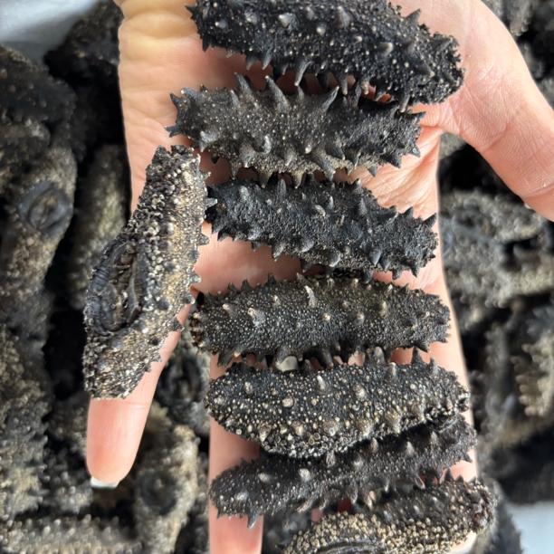 大连国标纯淡干高涨发