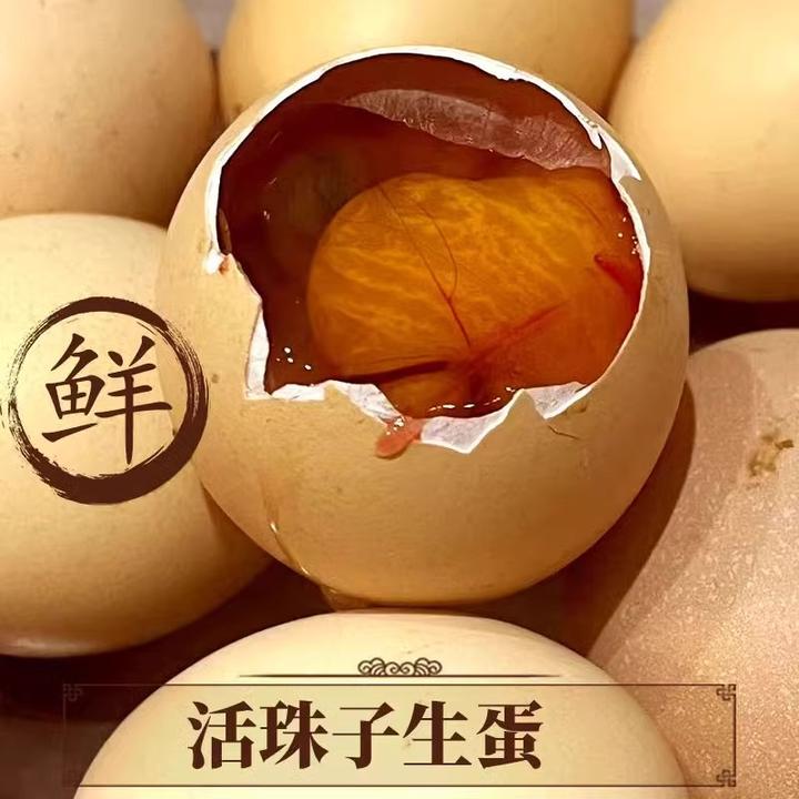 13天活珠子生的钢化蛋鸡胚蛋原味活珠子孵化鸡蛋南京活珠毛蛋