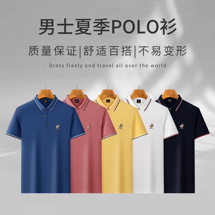 华诺威保罗夏季男士商务休闲经典刺绣翻领polo衫抗菌7A级99101
