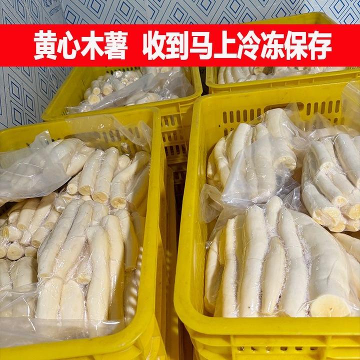 广西面包木薯水果当季热卖现挖去皮黄肉木薯新鲜面包木薯羹糖