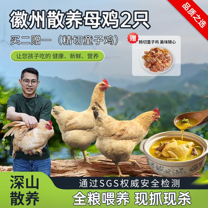 农小咖Y10徽州土鸡老母鸡深山散养原粮饲喂草鸡孕妇月子鸡新鲜鸡