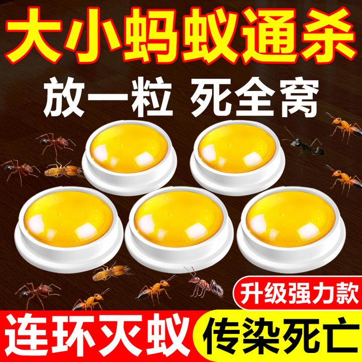 蚂蚁药饵剂家用全窝端室内非无毒蚂蚁灭杀红火黄蚂蚁蟑螂方便贴