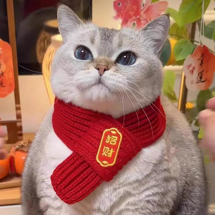 【艺凡】猫咪围脖宠物狗狗可爱新年装扮配饰过年冬喜庆围兜红色装饰