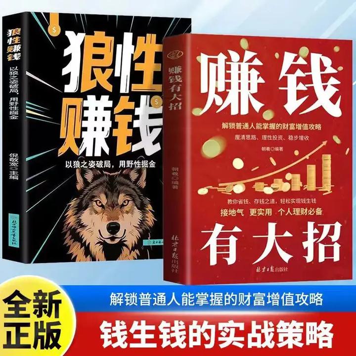 赚钱有大招解锁普通人赚钱秘诀突破认知 副业变现负债翻盘书TT