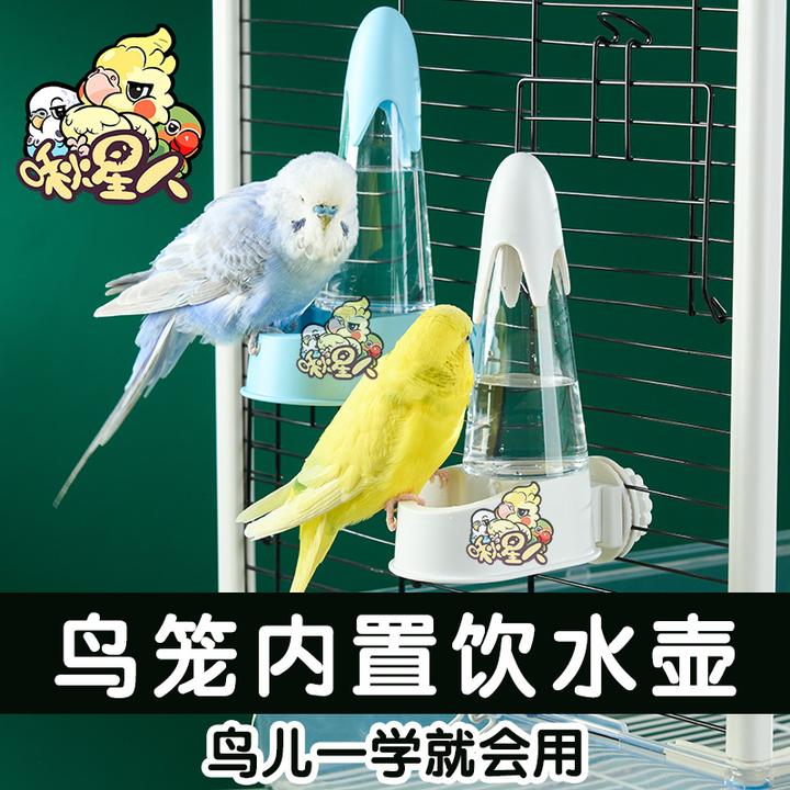 可悬挂鹦鹉饮水器小鸟多用自动大容量鸽子外挂喂水器玄凤鸟用内置