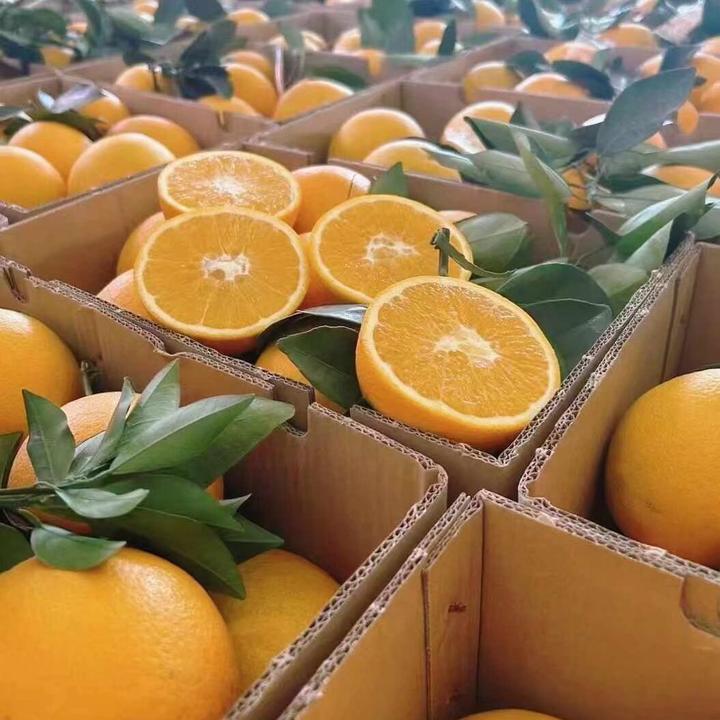 赣南脐橙带枝叶发货正宗赣南脐橙橙子10斤特级果甜橙皮薄多汁鲜果