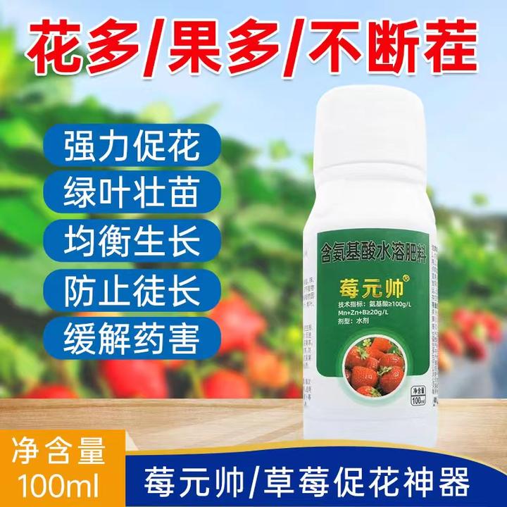 莓元帅草莓/促花膨果/促进花芽分化/绿叶壮苗/氨基酸叶面肥